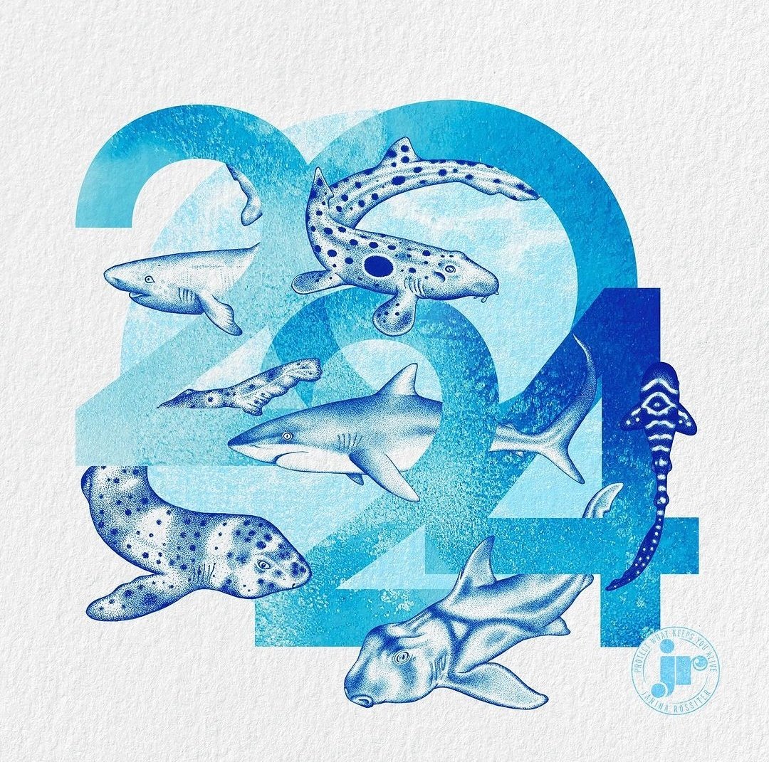 Sharks by <a href="/JaninaRossiter/">Janina Rossiter</a> 

No to Finning - No al aleteo