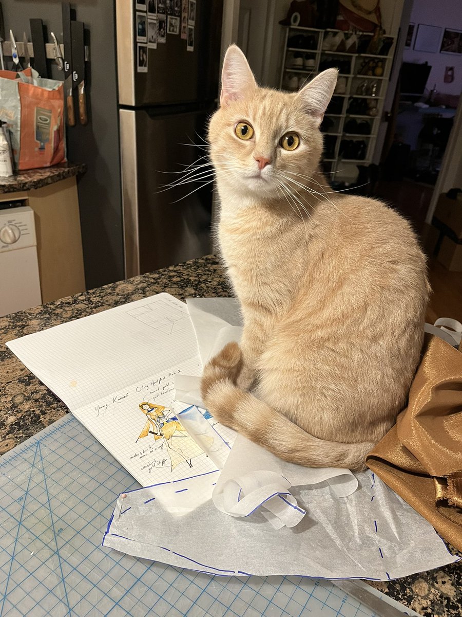 PANKO HAS THE BRAIN CELL RN AND HE IS USING IT TO HELP ME #fabtcg #cosplay