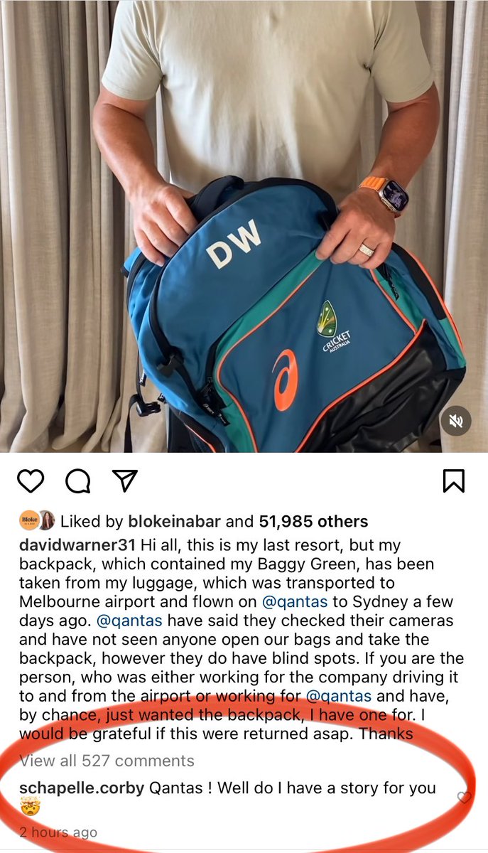 Don't think anyone would have ever been as satisfied with a comment as Schapelle Corby must have felt after hitting send on this one to David Warner's post about a lost bag after flying Qantas