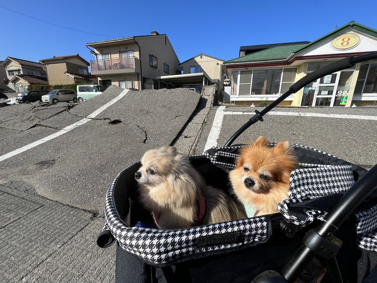 🍊Oren-chan/加賀オレン🍊＠JPVtuber　2020/07/05debut tweet media