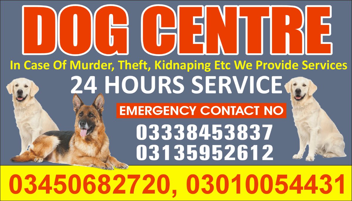 ArmyDogCentre2's tweet photo. In this article, we will explore the fascinating world of tracking sniffer dogs, delving into their training methods, applications, and the remarkable capabilities that make them indispensable in ensuring safety and security. https://t.co/6H1Azne35k