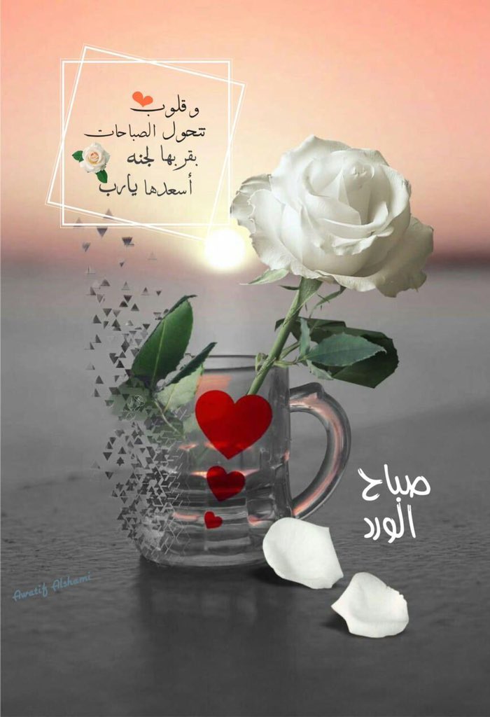 Usman bangash (@usmanbangash99) on Twitter photo 