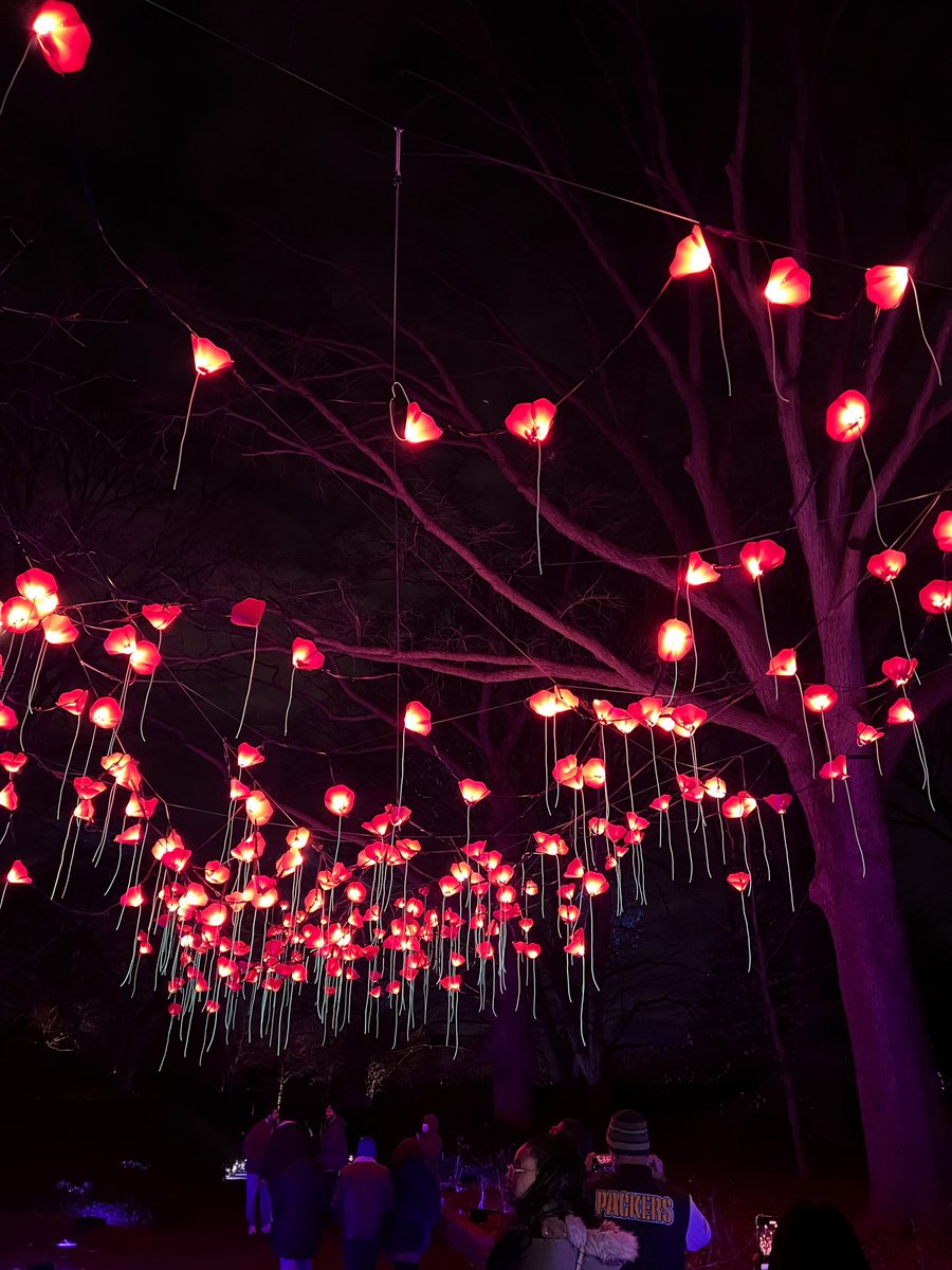 Sigmundine2's tweet photo. #LightscapeBrooklyn https://t.co/hptvIaBhQj