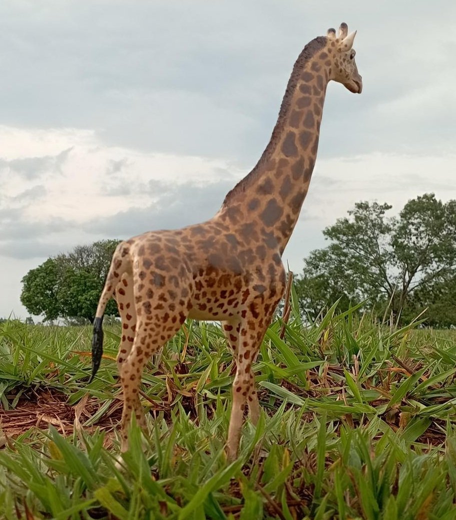ColorDino_LSM's tweet photo. My Art. Color Dino: Girafa Masai
(Giraffa tippelskirchi) 🌿🦒🌍
#giraffe #giraffemasai #África #savana #nature https://t.co/R1pWTofYlE