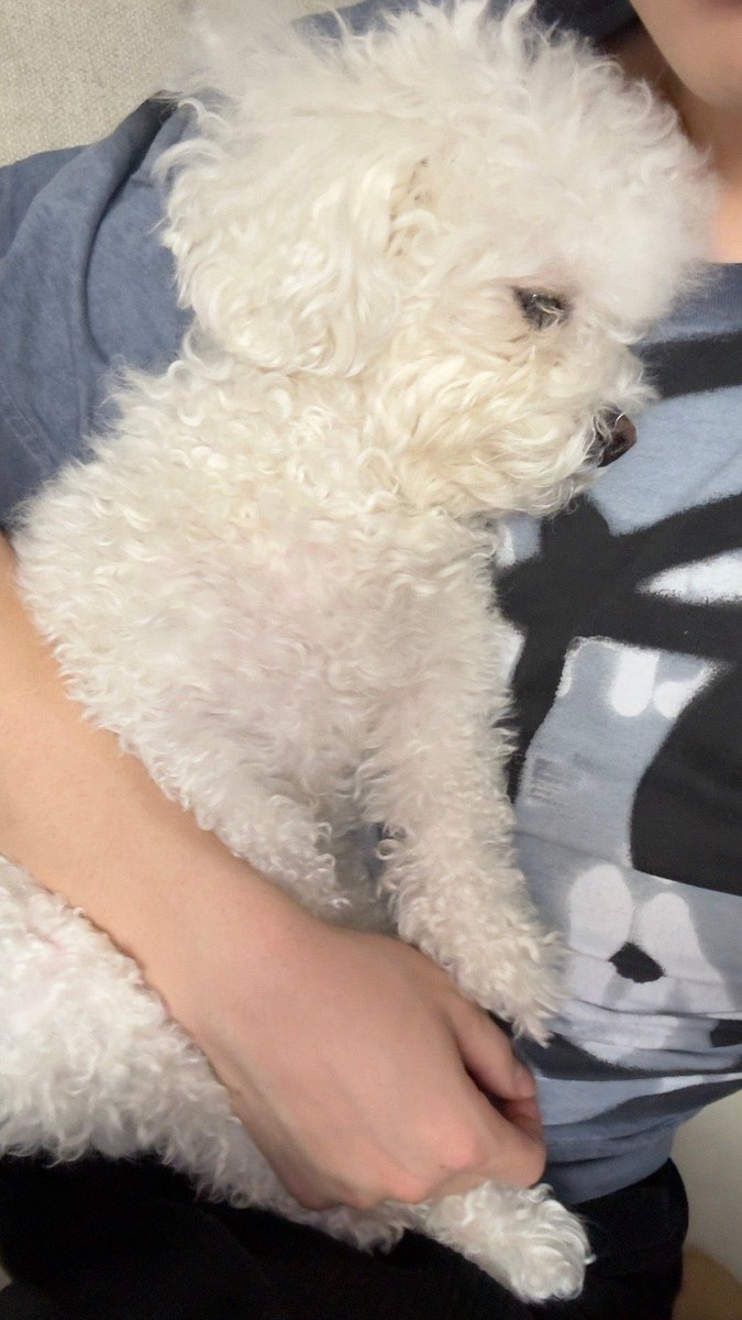 우리대갈이 이케 콩알만했는데 ㅜㅜ
너무 잘컷어용 ♡...