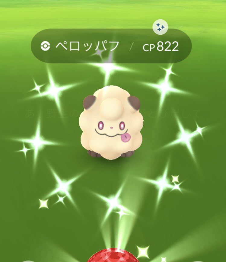 明けましておめでとうございます🎍
今年もよろしくお願い致します🙇‍♂️
新年初色違い😋✨