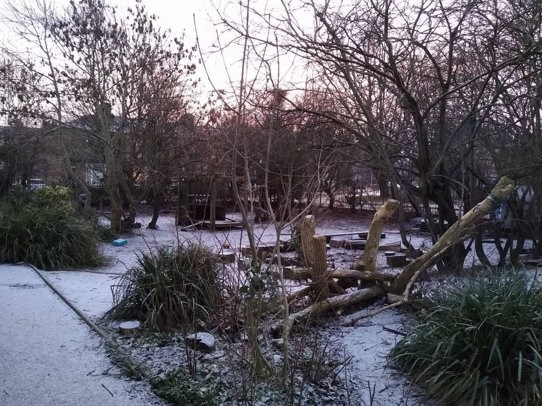 There was this beautiful scene in the school garden this morning awaiting the children. We allowed them to play out in the snow this morning for a little while as it’s such a rare event!
