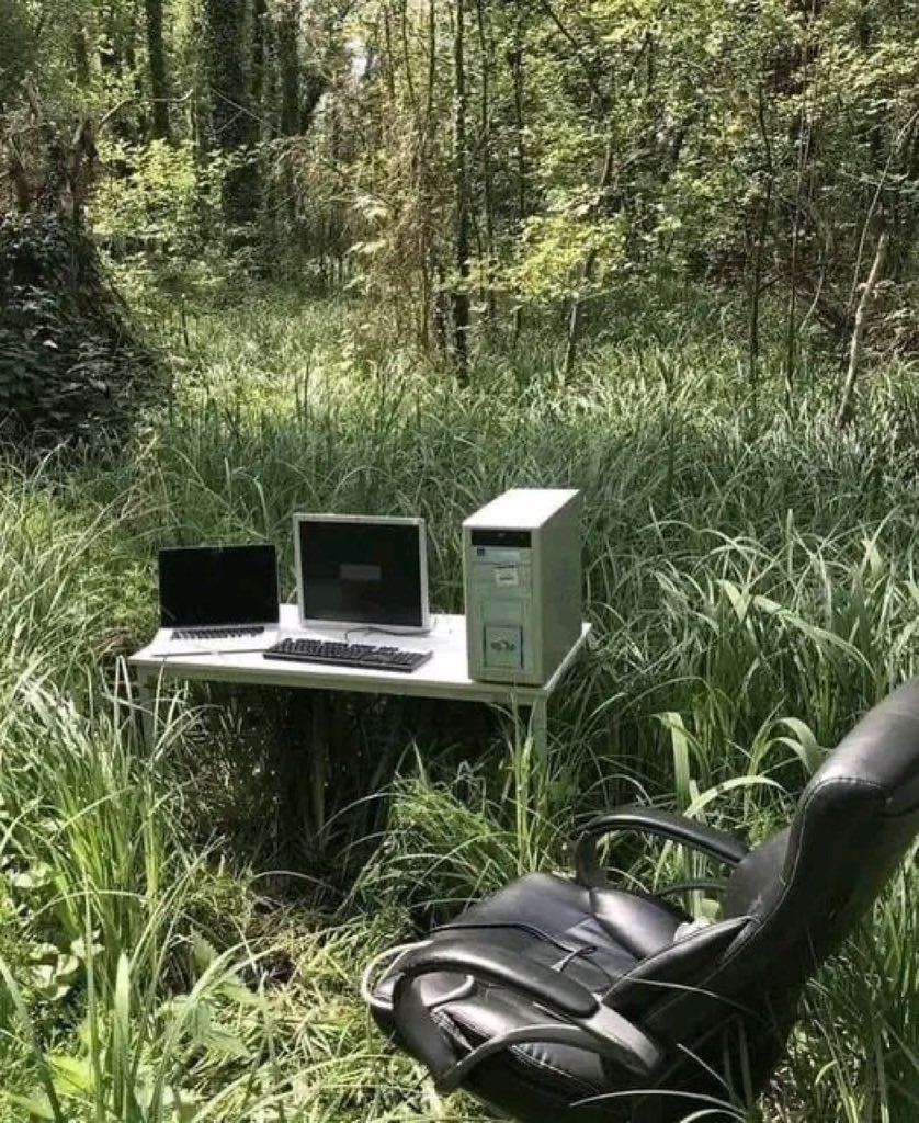 Rate my setup