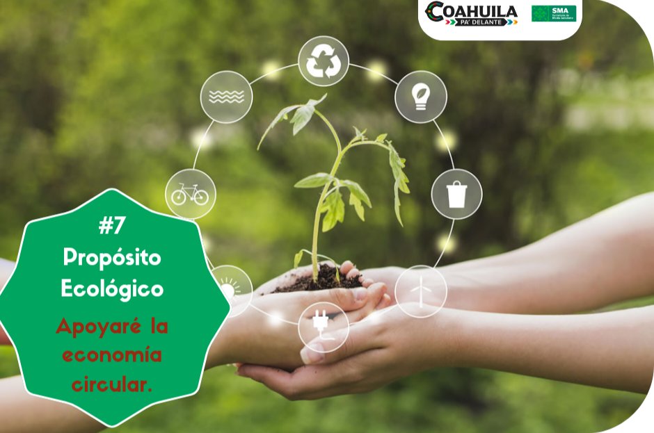 SMALaguna's tweet photo. Propósitos ecológicos para empezar bien el 2024... 

#SMALaguna | #APasosDeGigante https://t.co/y9CnNOhxEL