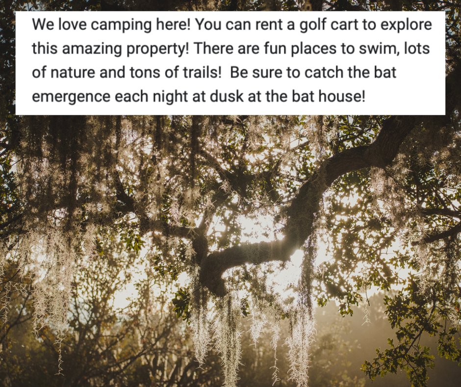 Suwannee River Jam tweet media