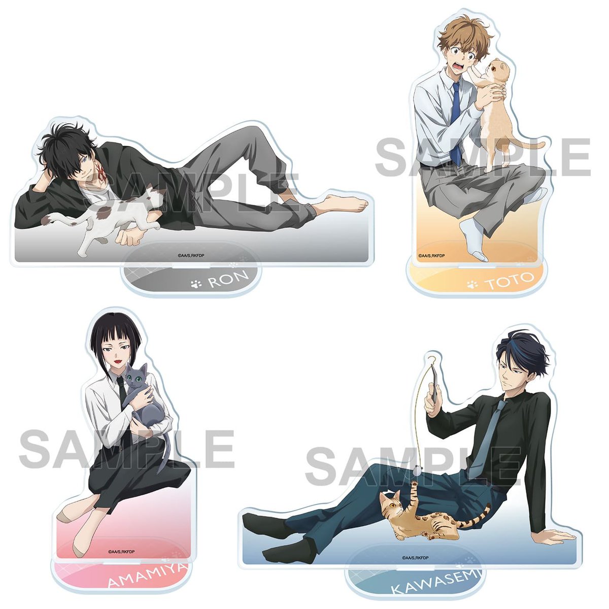 鴨ロン トト シュピッツ チコリ 鴨ロン トト シュピッツ チコリ