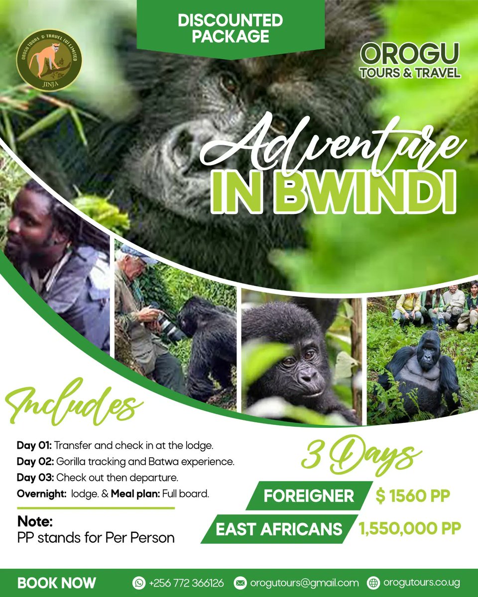 orogutours's tweet photo. Hello travel addicts and adventure lovers, we are here with discounted packages for you....contact us and book your journey with us🥳🚗 swipe to see more packages>>>

You can book by sending us a message on +256 772 366126 , via our website https://t.co/tc5IwNBDd5 and you can also email us at orogutours@gmail.com

#travel #travelblogger #travelphotography #travelling #tour #queenelizabeth #sipi #murchisonfalls #bwindi #gorilla #chimp #chimpanzees #uganda🇺🇬 #exploreuganda
