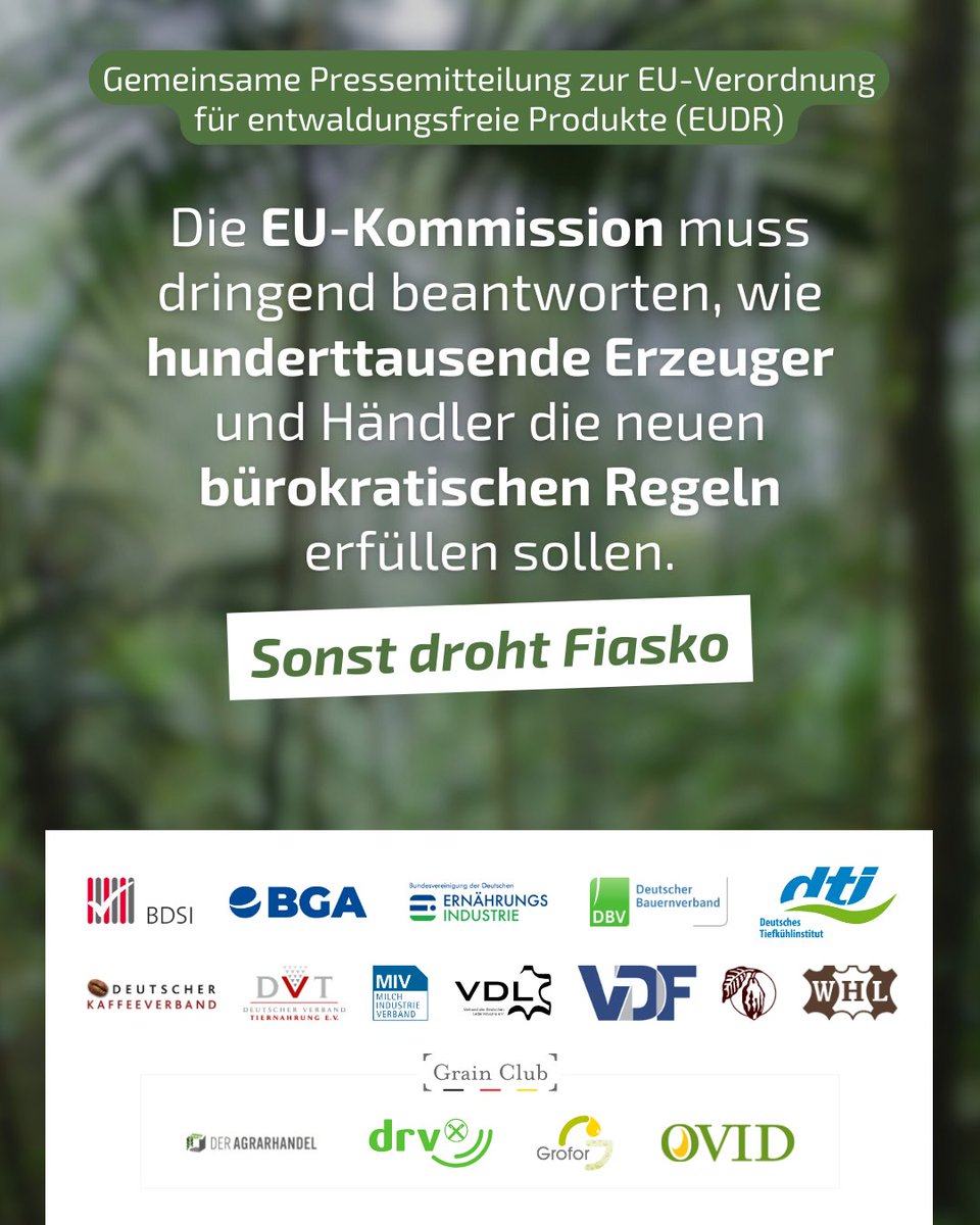 Die Agrar- und Ernährungswirtschaft warnt heute öffentlich vor einem weiteren Bürokratiemonster: die 🇪🇺 EU-#Entwaldungsverordnung (#EUDR). 
👉Gemeinsame Erklärung der Branchenverbände:   
grain-club.de/fileadmin/user… #ProtectForests