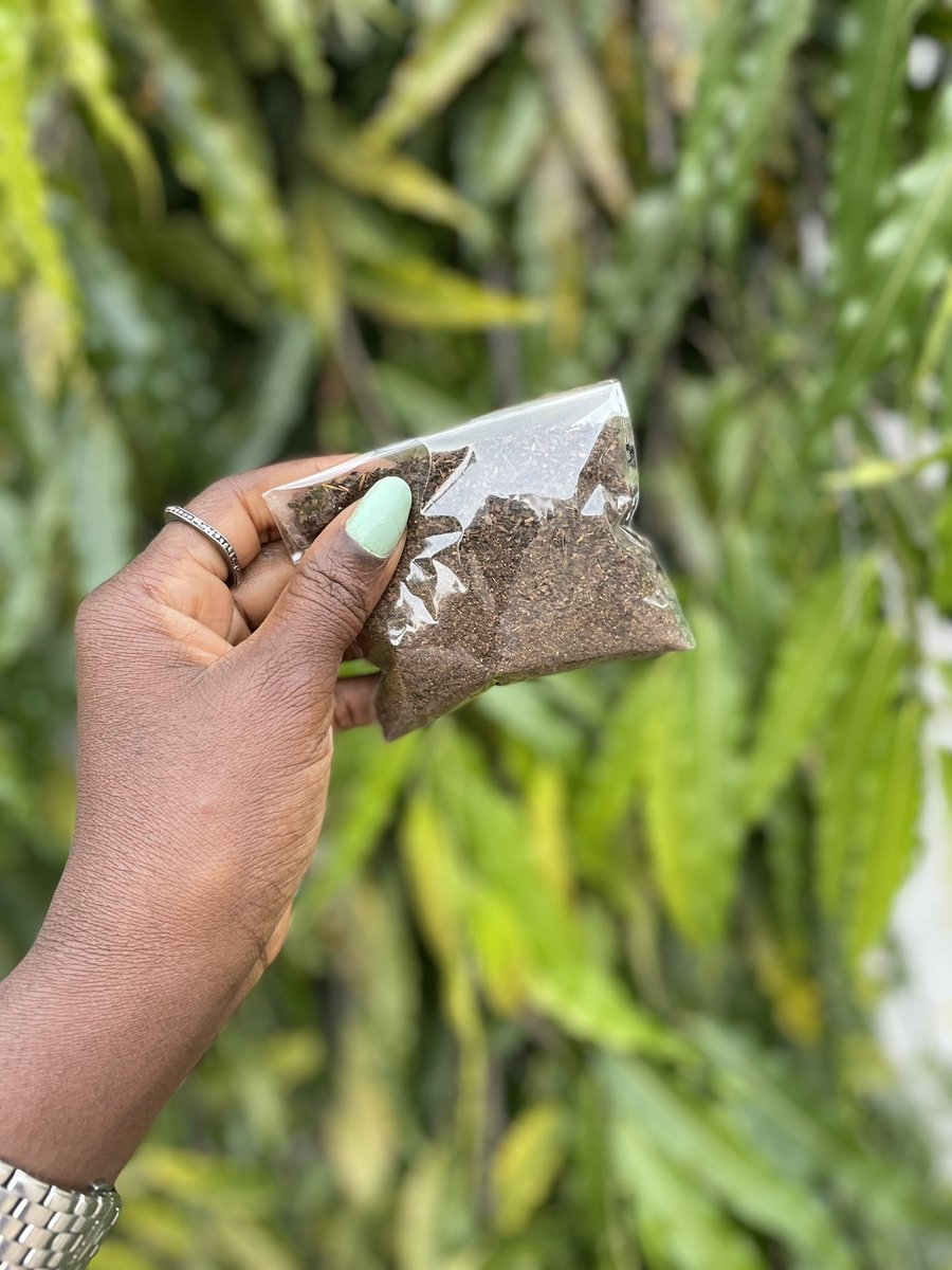 PhateemahOA's tweet photo. Introducing the newest star in BlendsbyTeama tea galaxy: Cloves Tea!
Immerse yourself in the rich aroma and bold flavor of this crafted blend.
Here's to the art of blending—sip, savor, and share the #blendsbyteama magic. https://t.co/57yXRJ3Rst