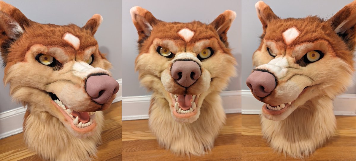 SarahcatFursuit's tweet photo. Head commission for Avian the werewolf! I absolutely love using this base from @DvC_Ciara, so happy I got to make another snarly boy again 🥰 https://t.co/4fhQOOW1ID