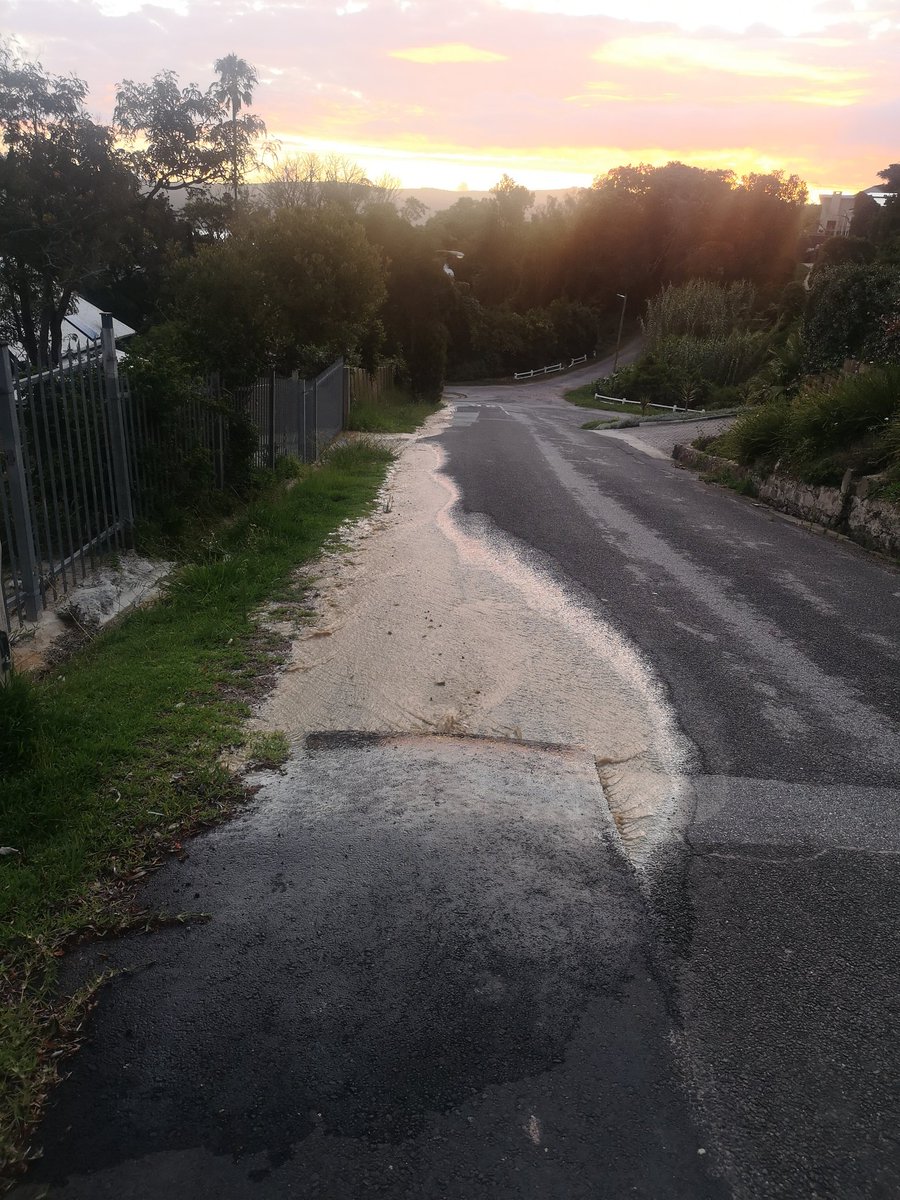 Serett Maree tweet media