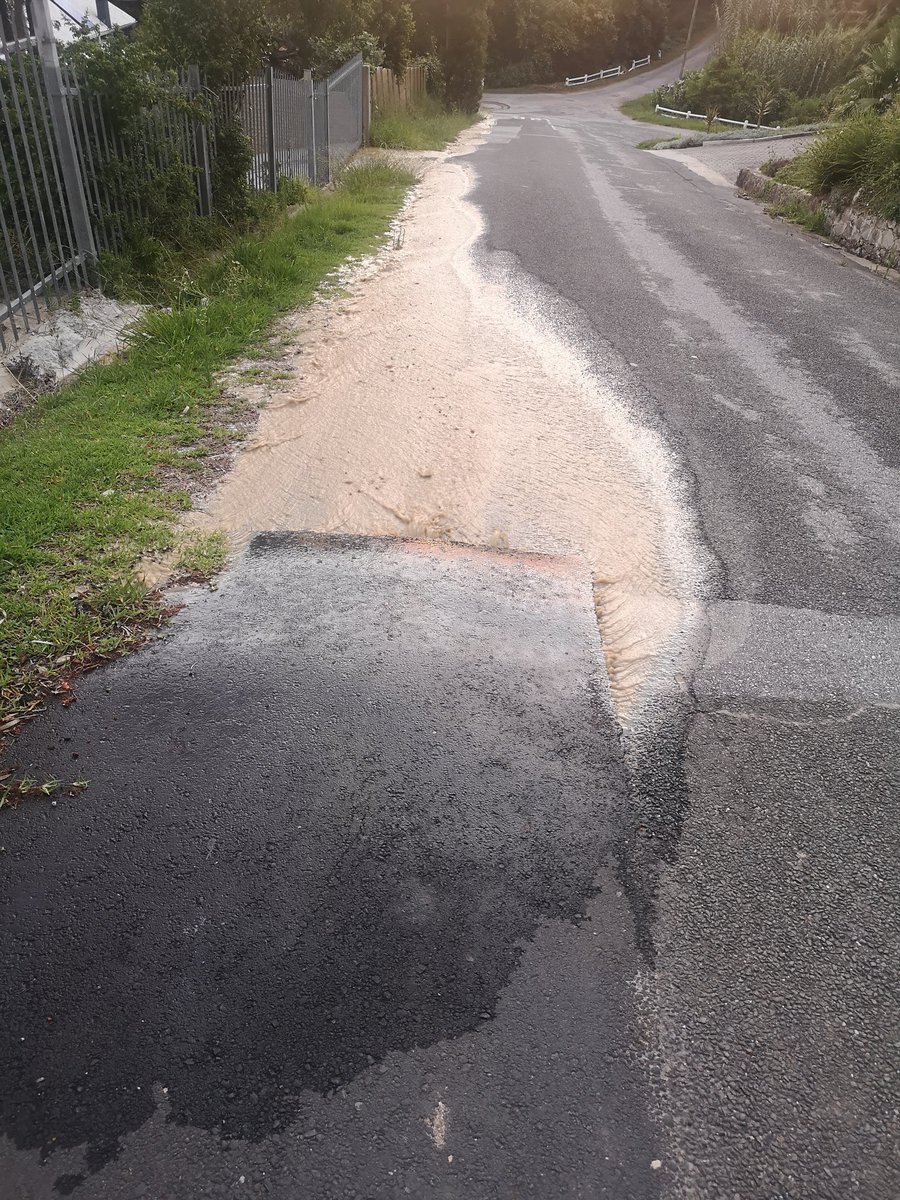 Serett Maree tweet media