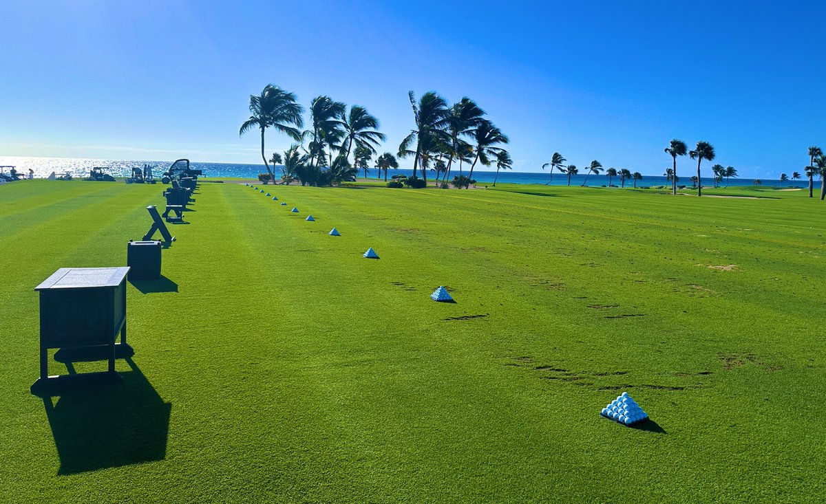 Rick Golfs tweet media