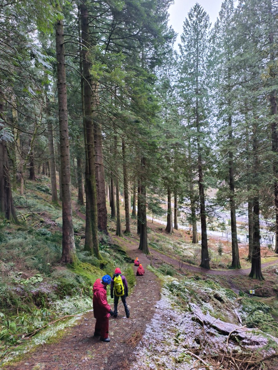 We have had an amazing day of activities including biking, gorge walks, orienteering, canoeing, costal walks, forest adventures, rock climbing and high ropes! Lots of proud primary 7s with some incredible achievements on day 1 🚴🧗‍♂️🚣