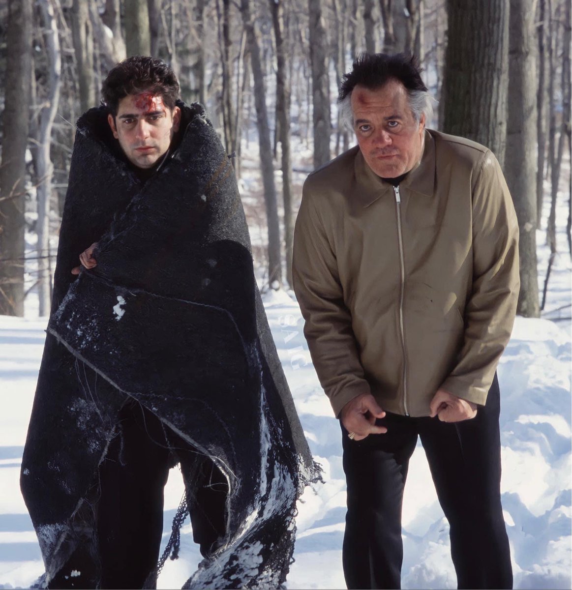 ElaineNeff34163's tweet image. My update. #NJsnow #25yearsthesopranos #hbo #paulie