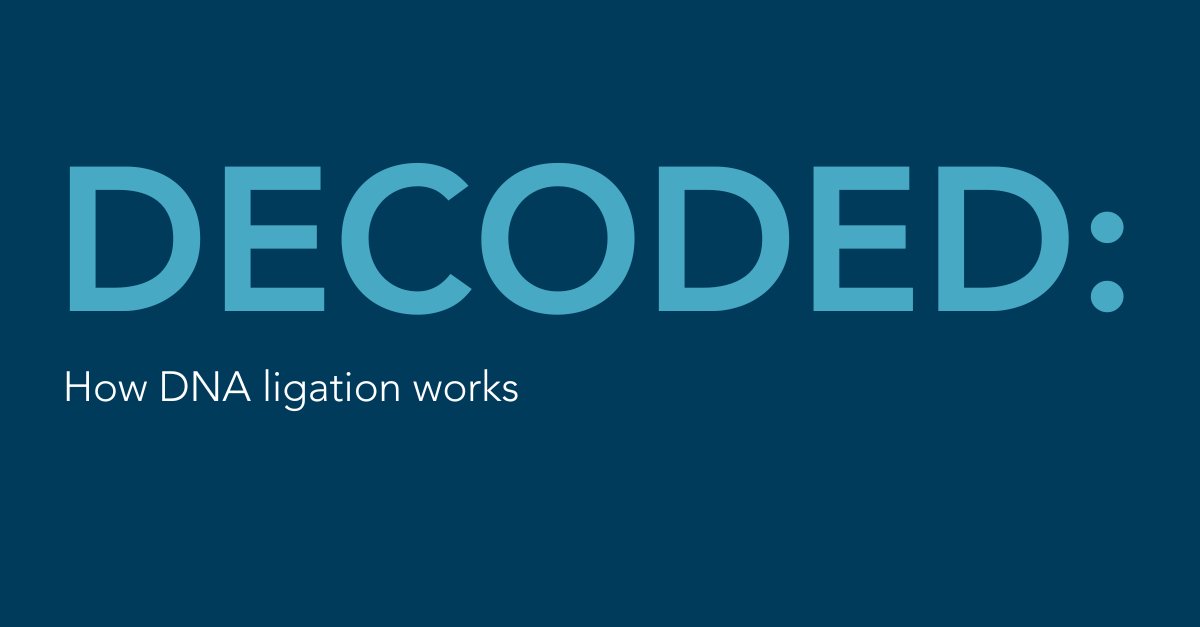 idtdna's tweet image. What is #DNAligase and does #DNAligation work?🤔
Our new DECODED article spotlights this popular molecular biology enzyme, which plays a starring role in DNA cloning and library prep: idtb.io/q2ceiz

#DECODED #IDTdna #DNAcloning