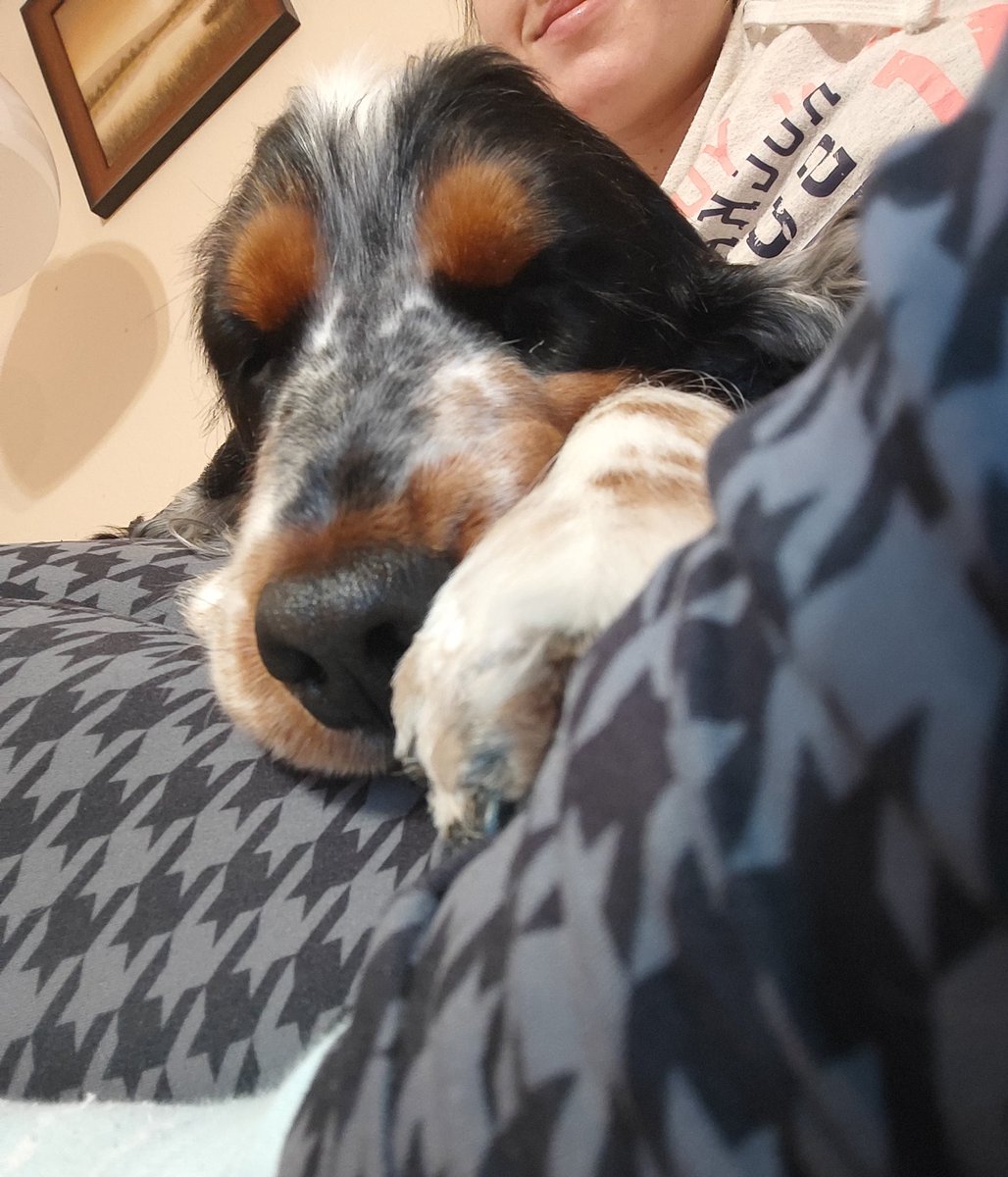 Malipe03's tweet photo. Ten pracovní týden někoho zmohl https://t.co/CvXHVuVOmN