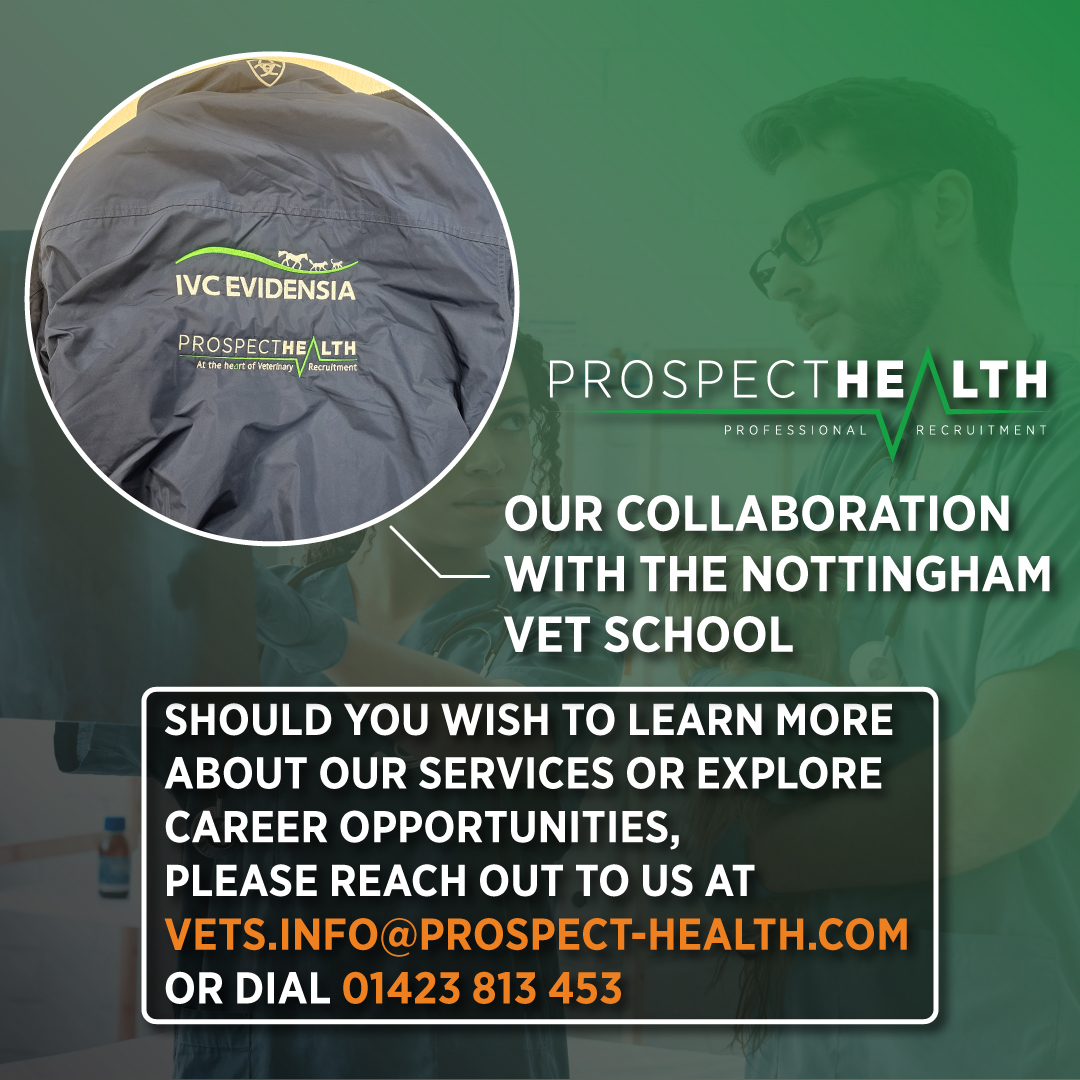 Prospect Health Veterinary tweet media