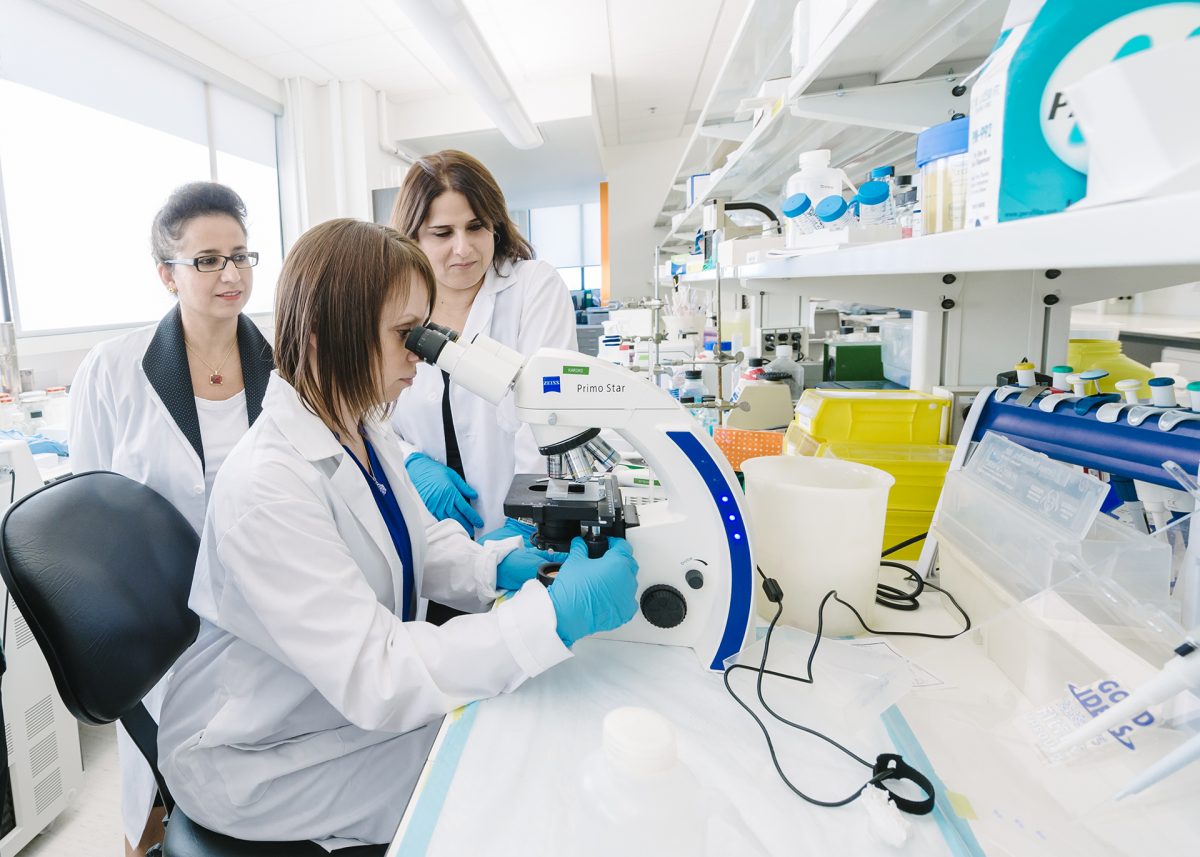 umanitobasci's tweet photo. UM researchers receive $800,000 investment from Research Manitoba
Funding to support next generation of research excellence and innovation
Read the full article on UMToday: https://t.co/K5pQPz0FPr
#UMScience #UManitoba #UManitobaSci #UMToday https://t.co/btFSXvNS8O