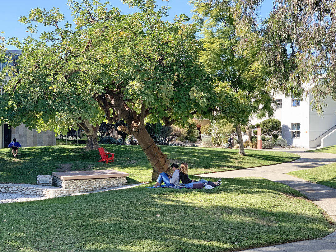 pitzercollege's tweet photo. It’s the first day of classes! Welcome back to campus. #Pitzer #PitzerCollege #ClaremontColleges https://t.co/vFkzBbSDBX