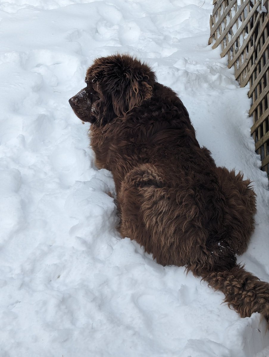 "Today is the best day ever!"
-Charlie