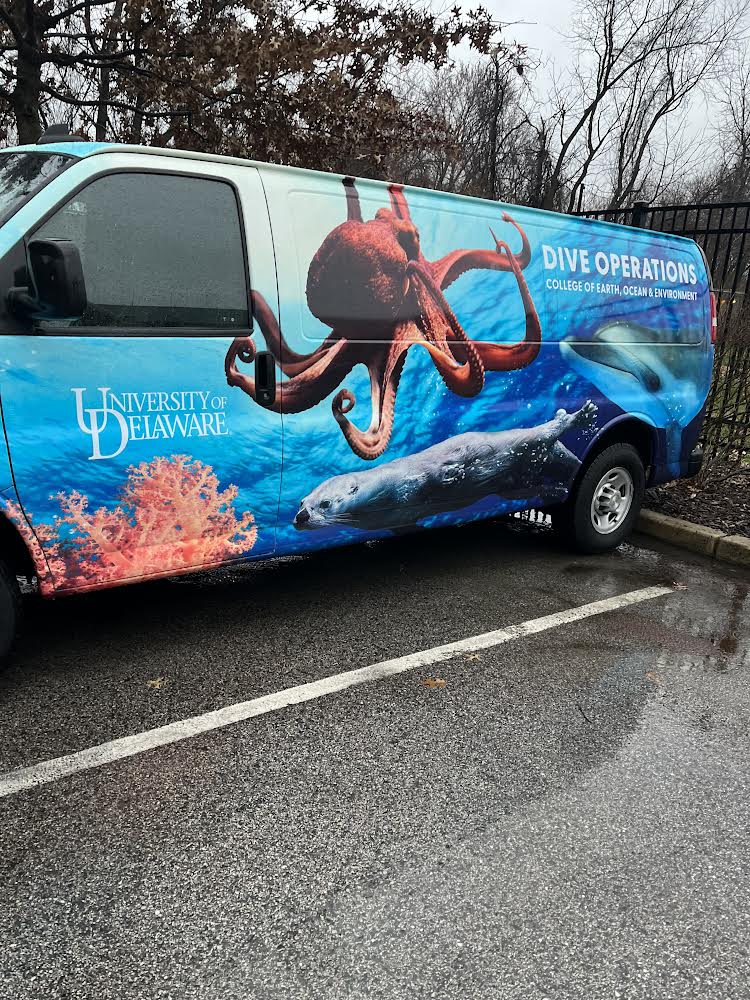 udceoe's tweet photo. Scuba is back in session! ๐คฟ More to come from our #UDWinter session classes in Florida. (Plus, check out our custom van!) #StayTuned https://t.co/60kIWXHeMP