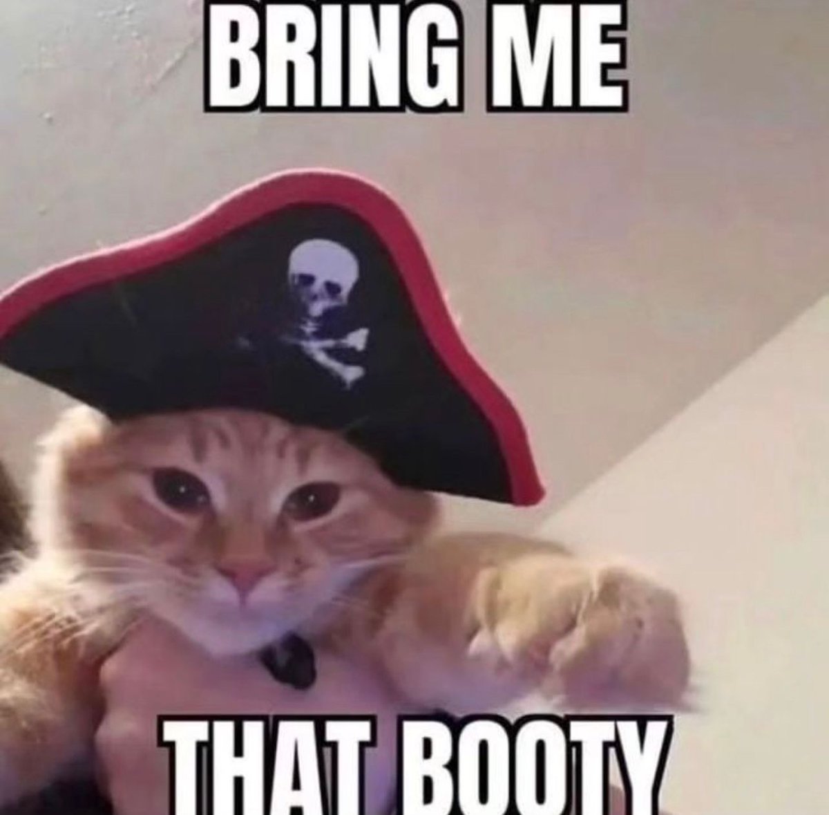 Posts Of Cats tweet media