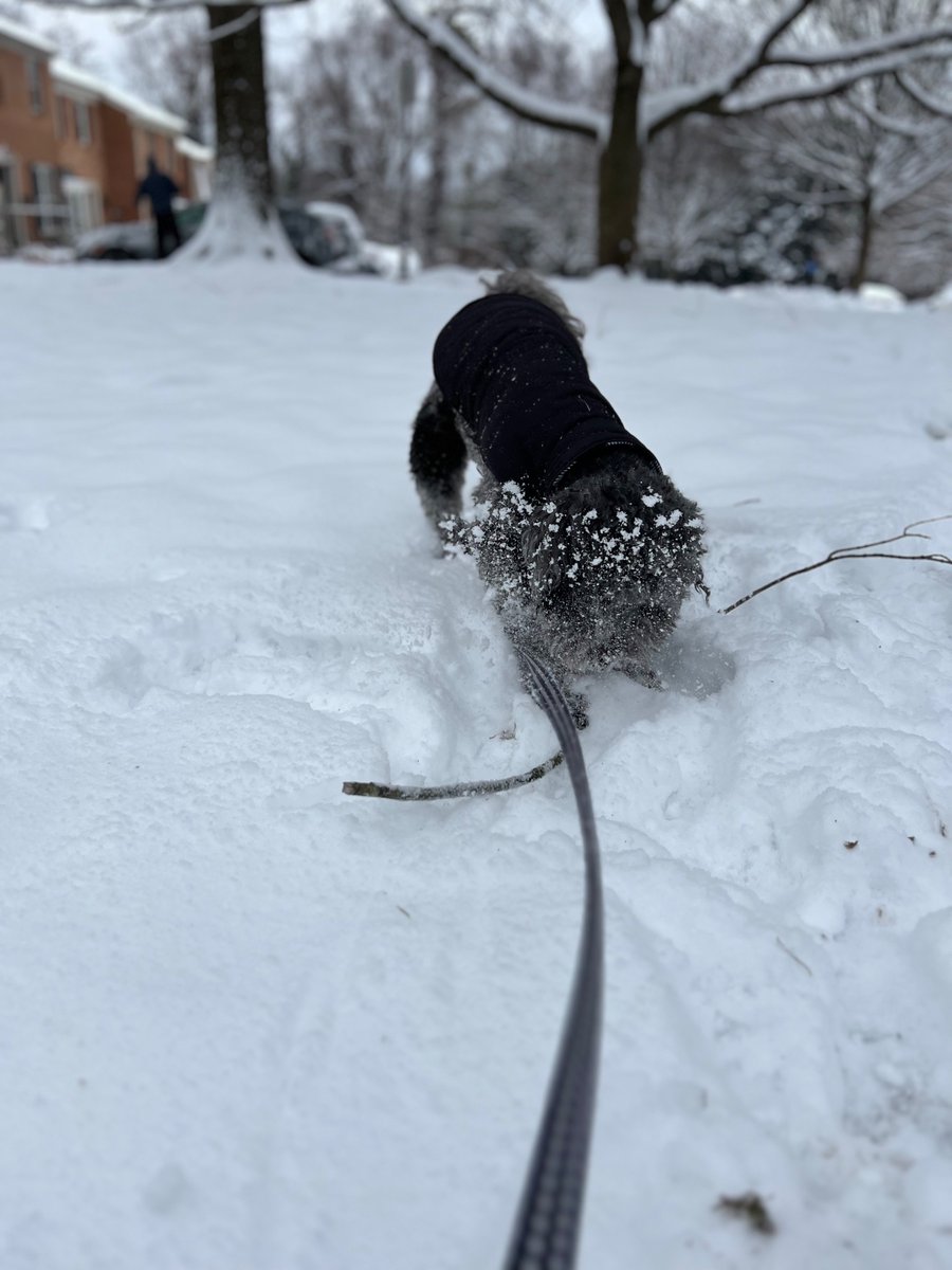 Arin Segal tweet media