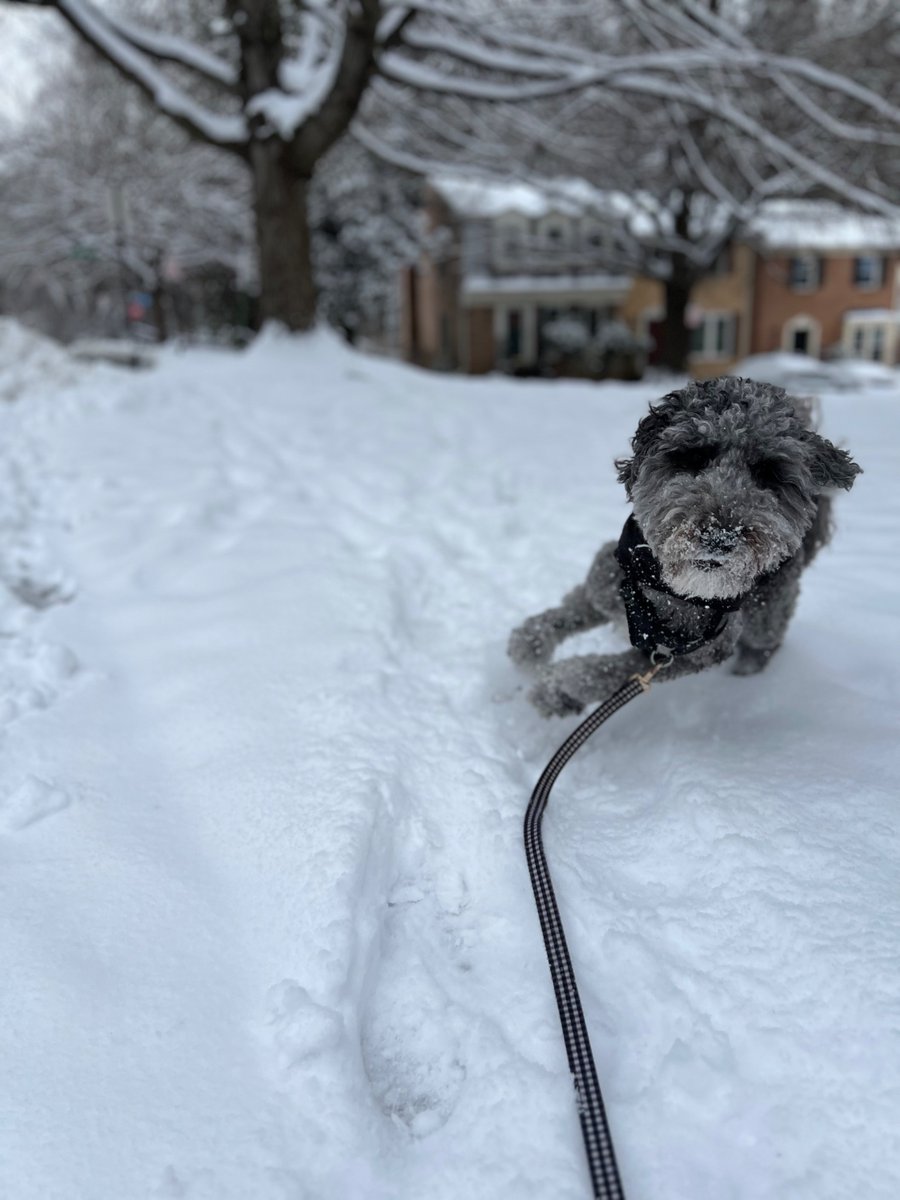 Arin Segal tweet media