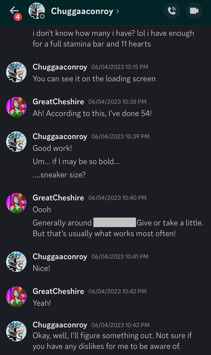 GreatCheshire's tweet photo. It had started with him attending my Pokémon Black streams last December and chatting. We started talking in DMs because he seemed chill. Then on June 4 I uploaded a selfie and he zoomed into my shoes in the background and messaged me about them https://t.co/Tbjeqp13Vl