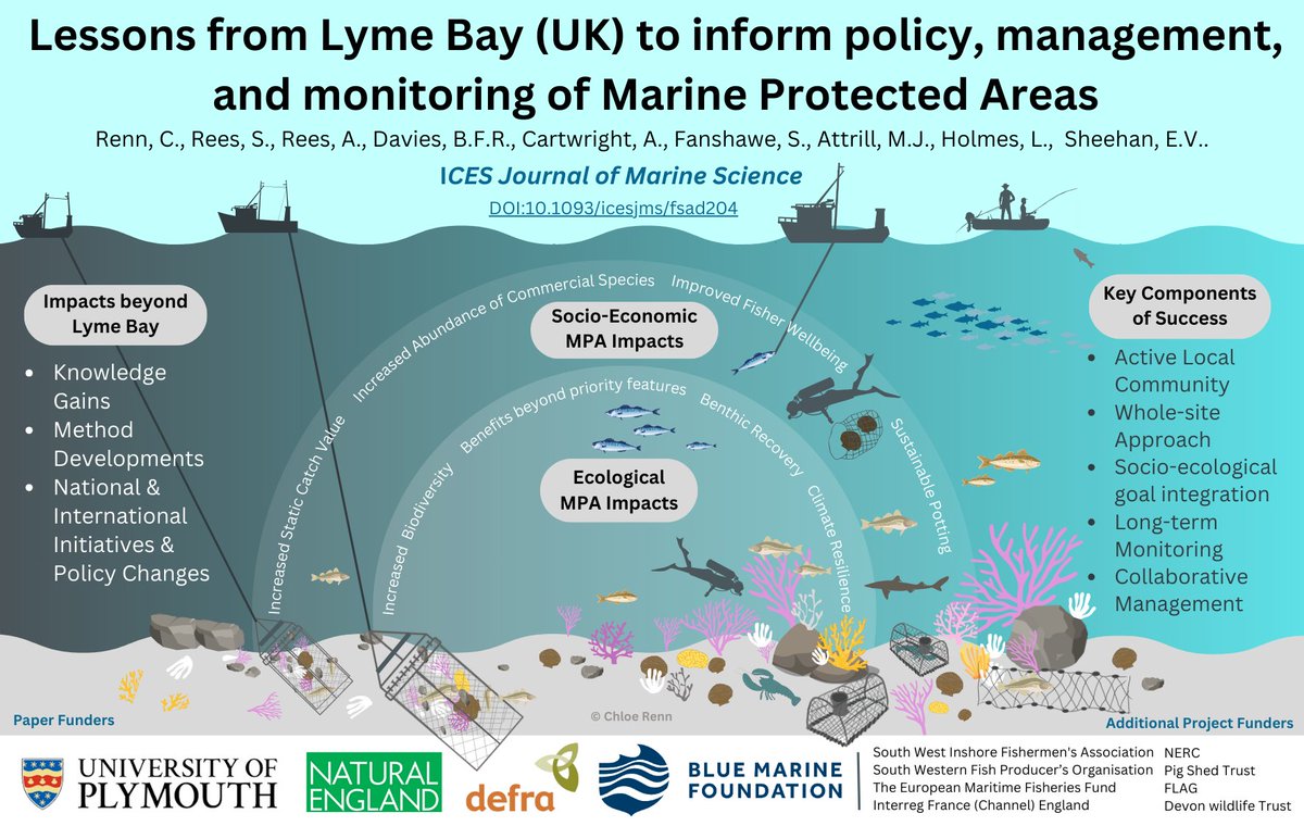 1/2 🔔 New paper out & it's a biggie.. 🐟 Bringing together all our Lyme Bay #MPA research & experience from the last 15 years 🪸Valuable lessons to inform MPA management, monitoring & policy at home and abroad 🦞 Authored by @Chl0eMarine 📖 tinyurl.com/49h4u34v @ICES_ASC