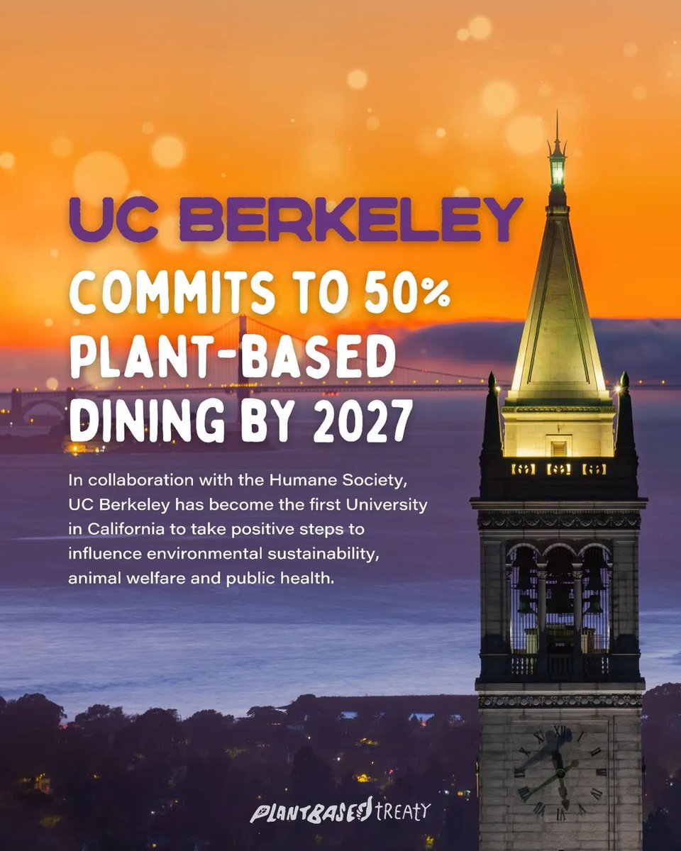 Los Angeles Animal Save tweet media