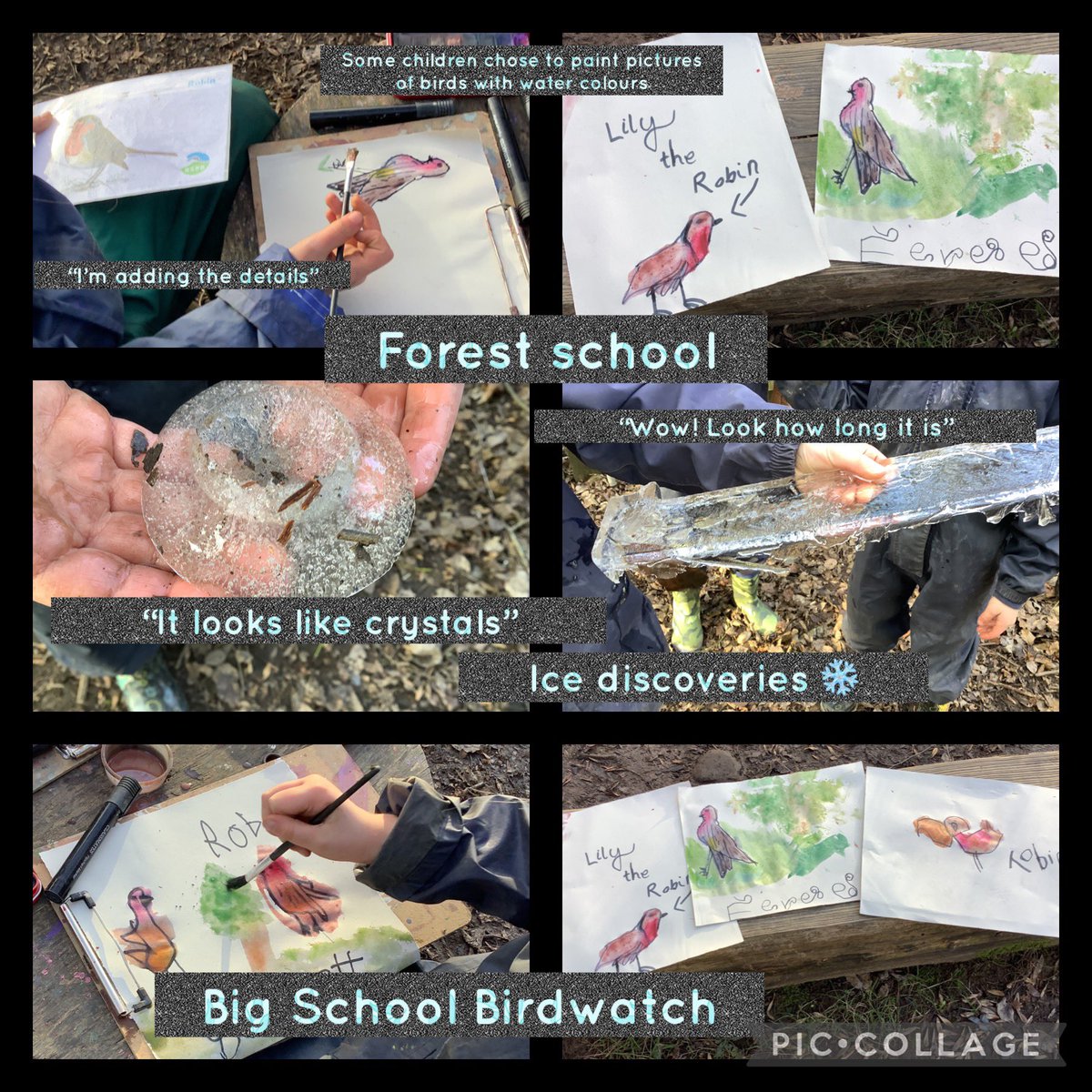 Dosbarth🦌 created some beautiful pictures of their favourite garden bird today using water colours💚We have been busy preparing for our #Bigschoolbirdwatch by placing out food regularly and making sure the bird bath is topped up with water, especially as it’s been so cold💚 #OL