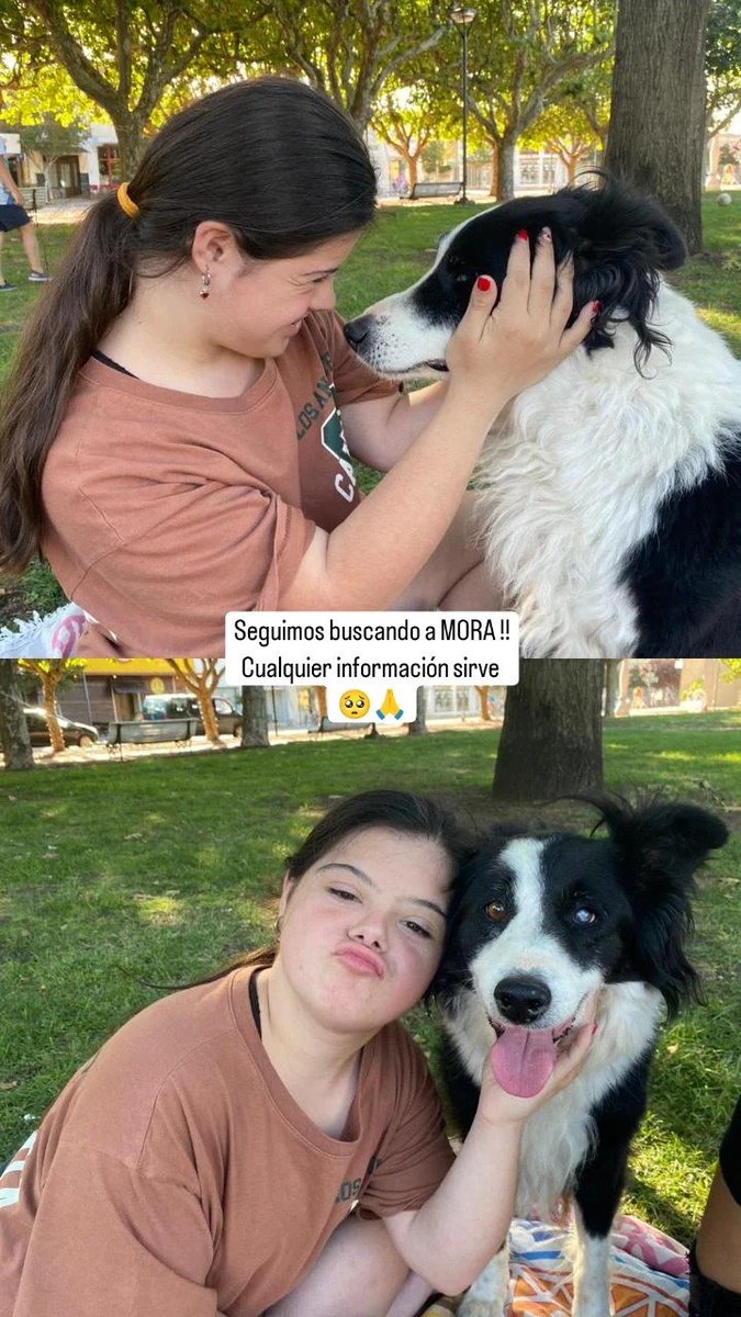 ● Por favor nos ayudan a buscarla, es muy especial para la familia. Ya hace unos días que la estamos buscando 🙏🙌💚🤗