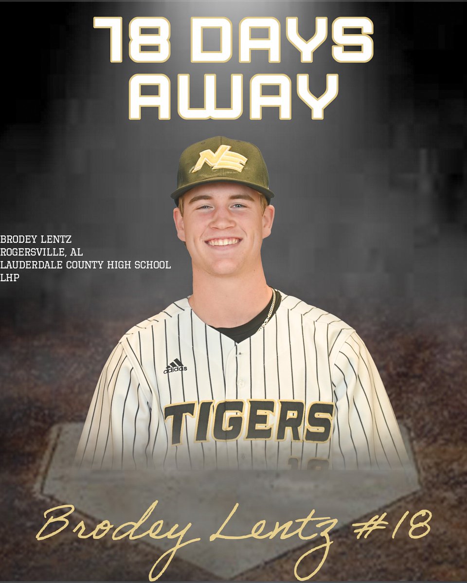 Northeast Baseball tweet media