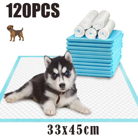 ObsessedBulldog's tweet photo. 🐾Attention all dog parents!🐾
Are you tired of cleaning up after your furry friends when accidents happen? We've got the perfect solution for you - Dog Diapers! They're comfortable, leak-proof and easy to use. 
Visit our store today -https://t.co/TJNT0r1DU4🐶💕 https://t.co/MV6wq3h7Tg