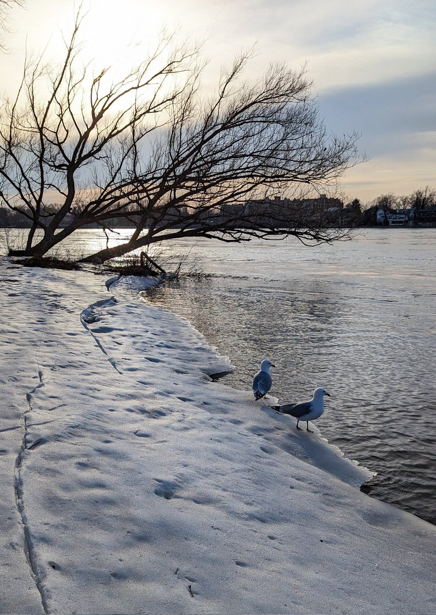 Juste pour un peu de couleur...
Ma 📷