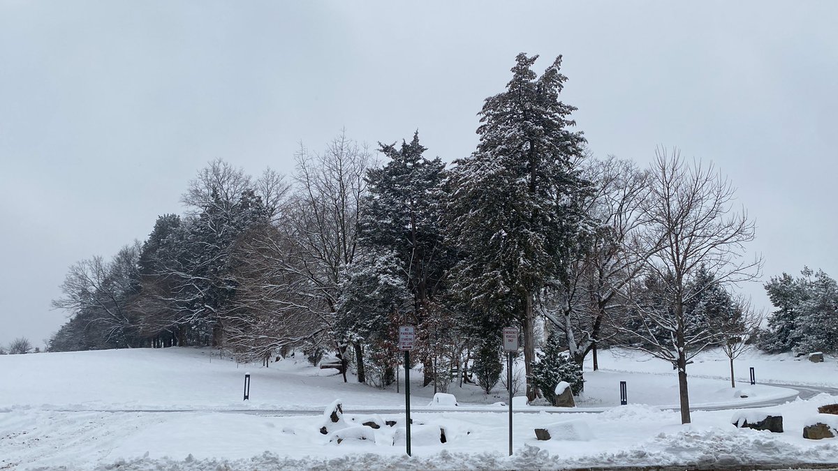 Mai Atef Rahmoon tweet media