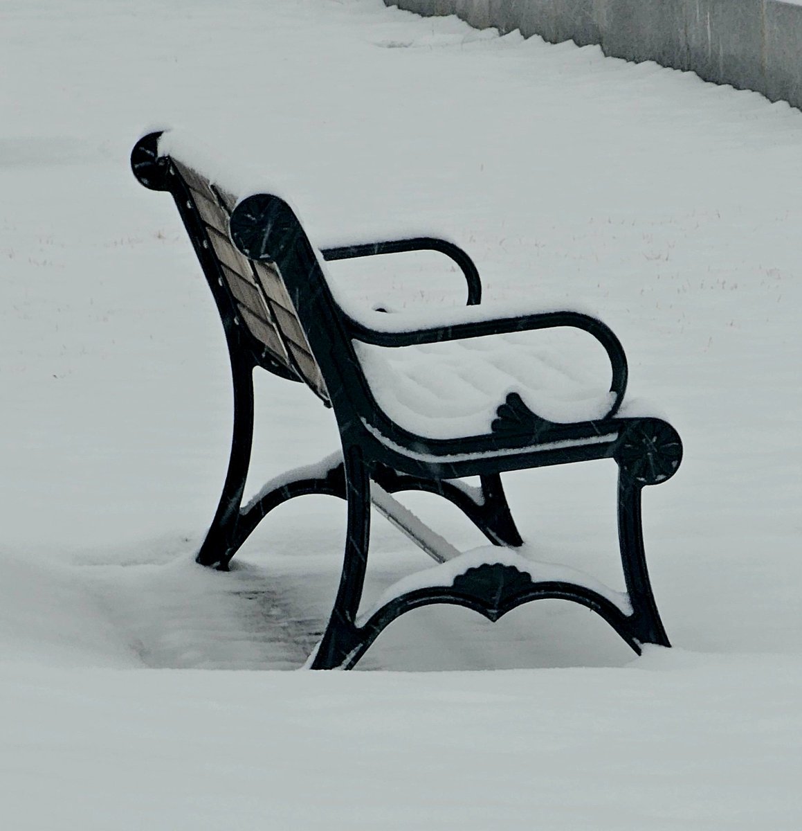 First #realsnow in 700+ days at <a href="/CSHL/">Cold Spring Harbor Laboratory</a>