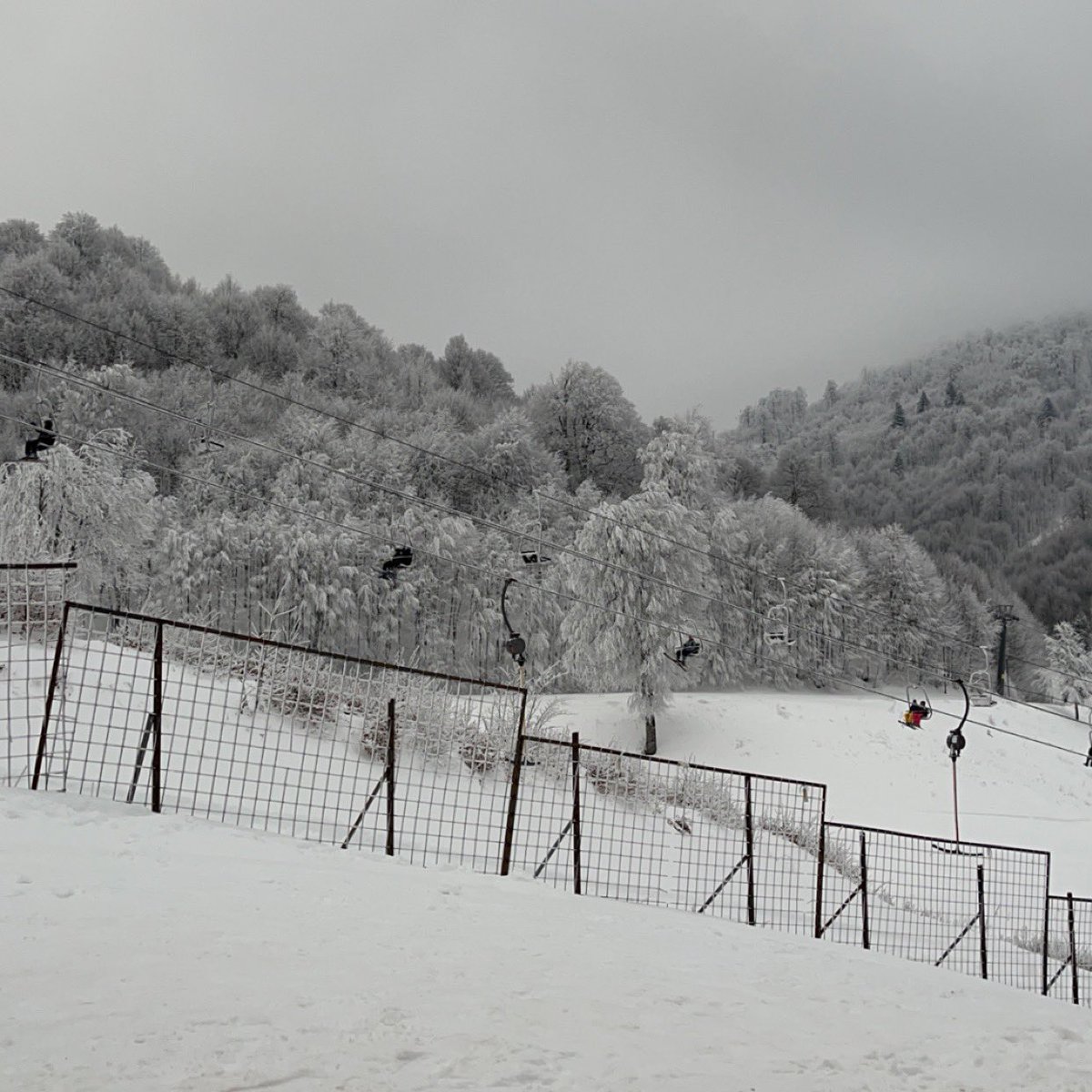 sarahwhaibi's tweet photo. It's un-brrr-lievably beautiful here. ❄️ https://t.co/SCJkmaBazG