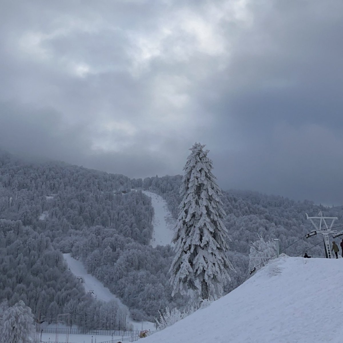 sarahwhaibi's tweet photo. It's un-brrr-lievably beautiful here. ❄️ https://t.co/SCJkmaBazG