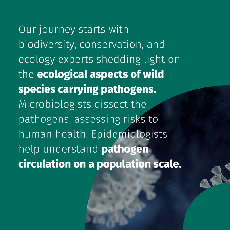 BcomingEU's tweet photo. 🌐 It's time once again for #ExploringBCOMING! 

From biodiversity to social sciences, BCOMING embraces collaboration for a complete approach to the challenges of biodiversity protection and disease prevention. 🤝🔬🌿 

#BCOMING #OneHealth #InfectiousDisease #EUbiodiversity