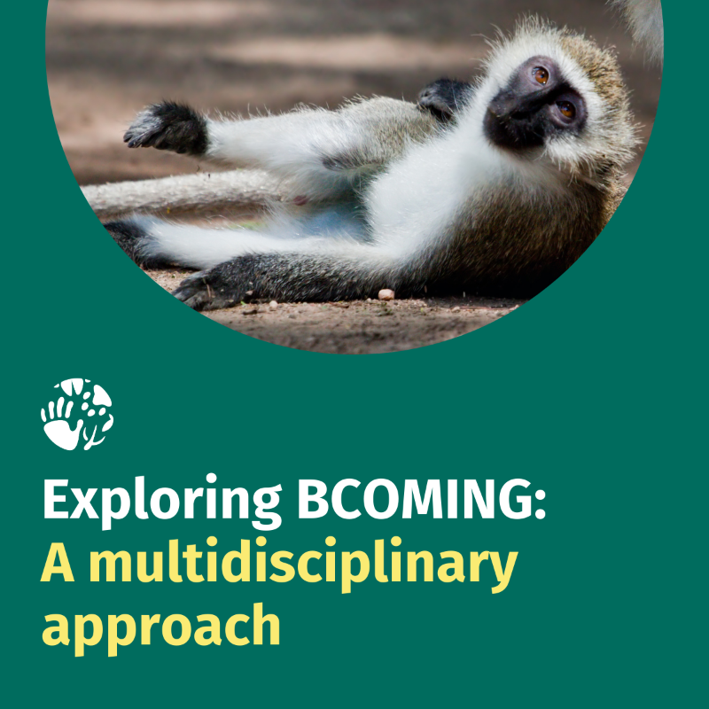 BcomingEU's tweet photo. 🌐 It's time once again for #ExploringBCOMING! 

From biodiversity to social sciences, BCOMING embraces collaboration for a complete approach to the challenges of biodiversity protection and disease prevention. 🤝🔬🌿 

#BCOMING #OneHealth #InfectiousDisease #EUbiodiversity