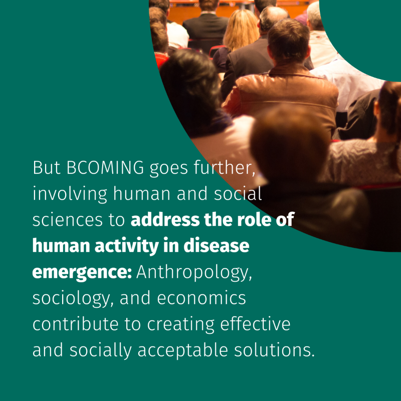 BcomingEU's tweet photo. 🌐 It's time once again for #ExploringBCOMING! 

From biodiversity to social sciences, BCOMING embraces collaboration for a complete approach to the challenges of biodiversity protection and disease prevention. 🤝🔬🌿 

#BCOMING #OneHealth #InfectiousDisease #EUbiodiversity