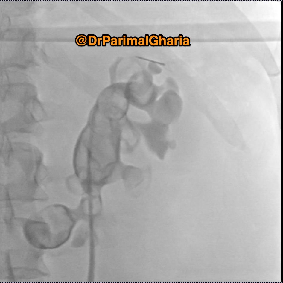 Dr Parimal Gharia tweet media